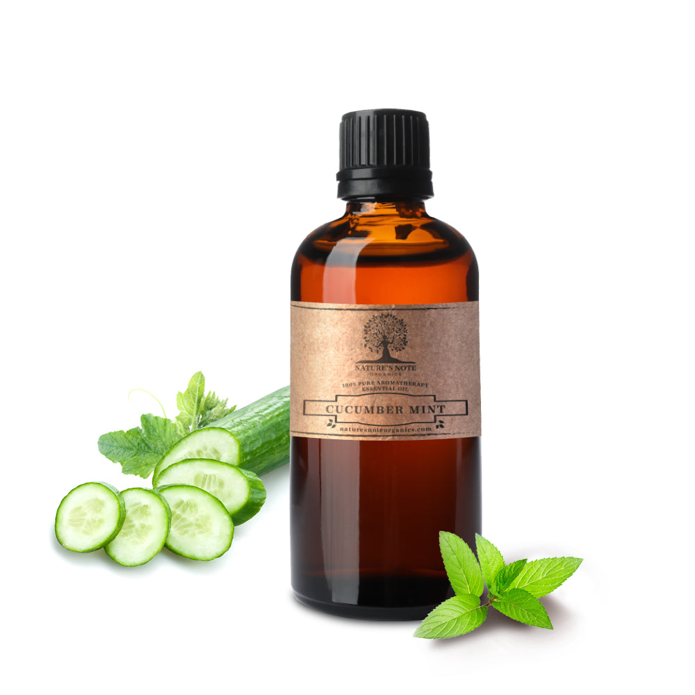 Cucumber Mint Perfume Oil Fragrance Roll on Scent Vegan Fresh Clean Cuke  Scent Cologne Scented Skin Aroma Aromatherapy Paraben-free 