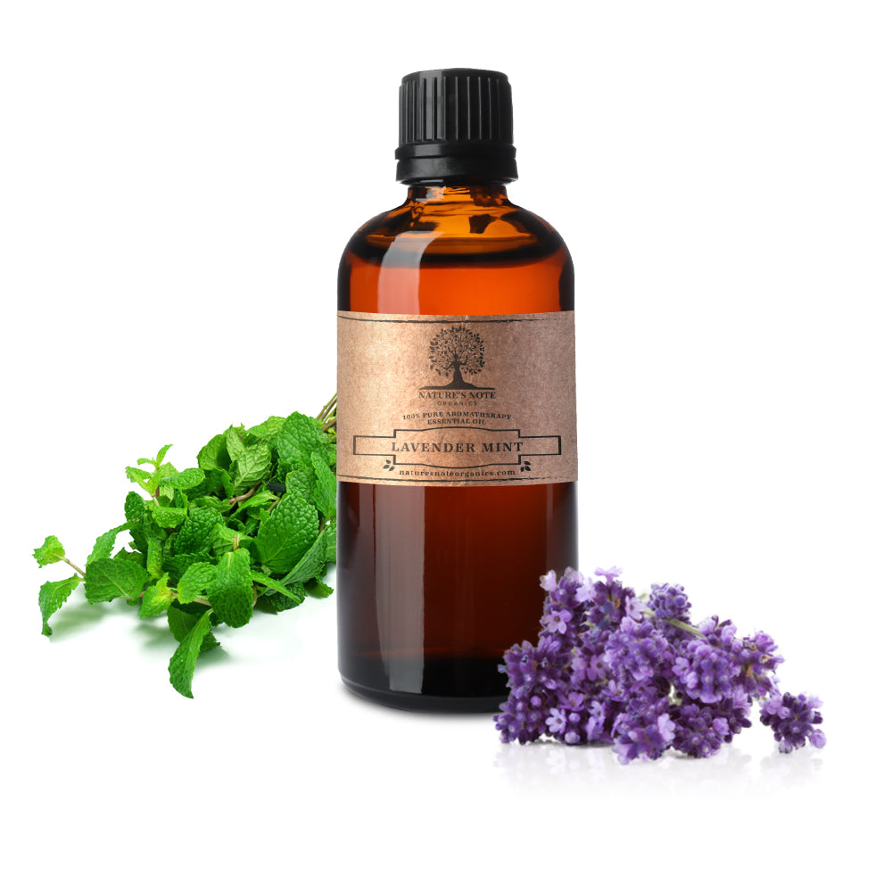 Lavender Mint Essential oil - 100% Pure Aromatherapy Grade Essential oil by Nature's Note Organics