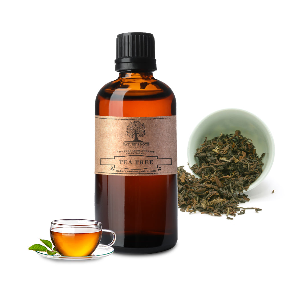 Nature’s Note Organics Tea Tree Essential Oil – natural, therapeutic-grade oil for cleansing and fresh air