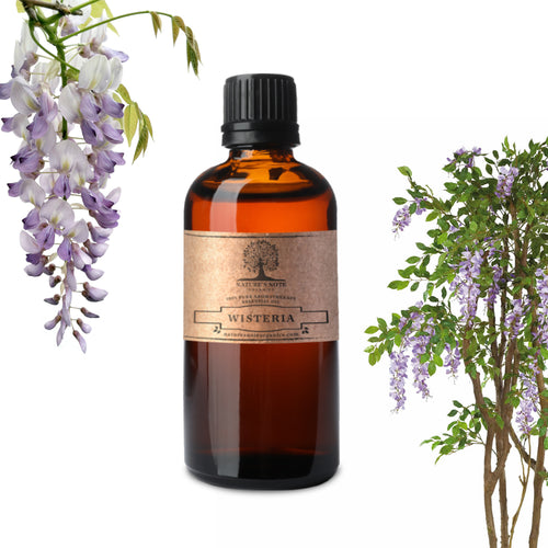 Wisteria Essential oil - 100% Pure Aromatherapy Grade Essential oil by Nature's Note Organics