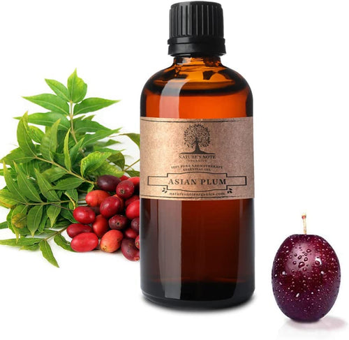 Asian Plum Essential Oil bottle by Nature’s Note Organics – 100% pure aromatherapy grade essential oil for relaxation and skincare.